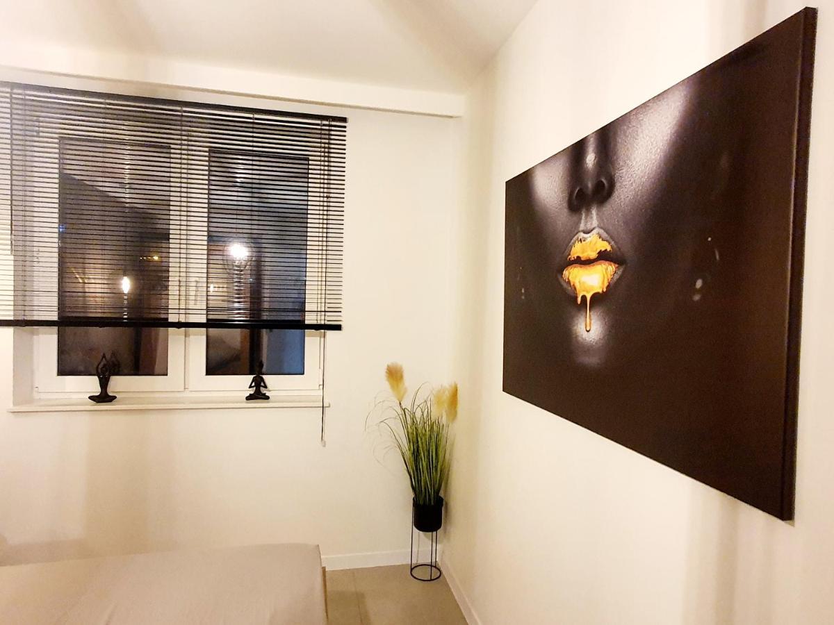 Konopnickiej 88 Cosy Apartment Сосновець Екстер'єр фото