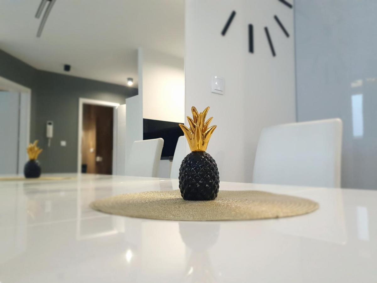 Konopnickiej 88 Cosy Apartment Сосновець Екстер'єр фото